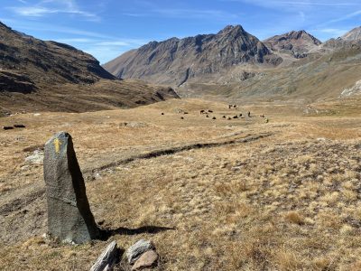 Valle-Aosta-Mountainbikereisen-Singletrails-geführte-Touren
