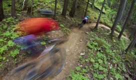 Vogesen Maginot Traverse Mountainbikereisen ©iStockphoto