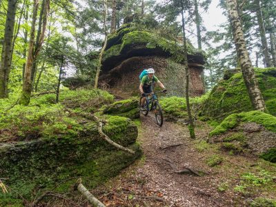 vogesen-maginot-traverse-mountainbikereisen