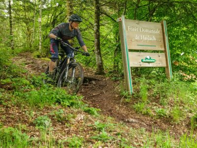 Vogesen Maginot Traverse Mountainbikereisen (5)