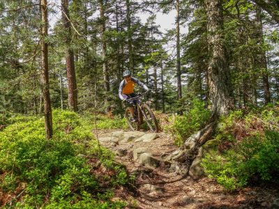 Vogesen Maginot Traverse Mountainbikereisen (7)